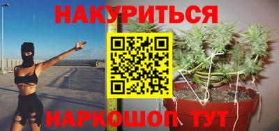 прущие крисы Гатчина