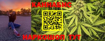 прущие крисы Гатчина