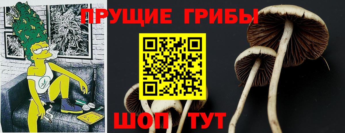 Белово  Псилоцибиновые грибы ЛСД  Вход с VPN  Псилоцибиновые грибы ЛСД 